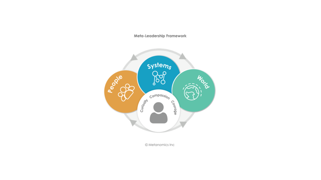 Meta-Leadership for a Sustainable World